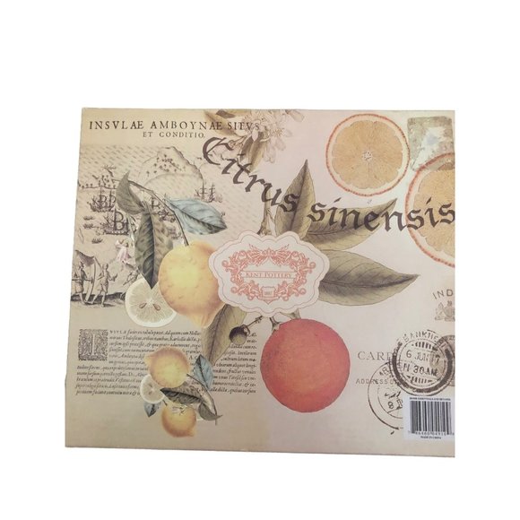 Home Essentials and Beyond Fruit Decor Water Glass Coasters - Picture 3 of 7